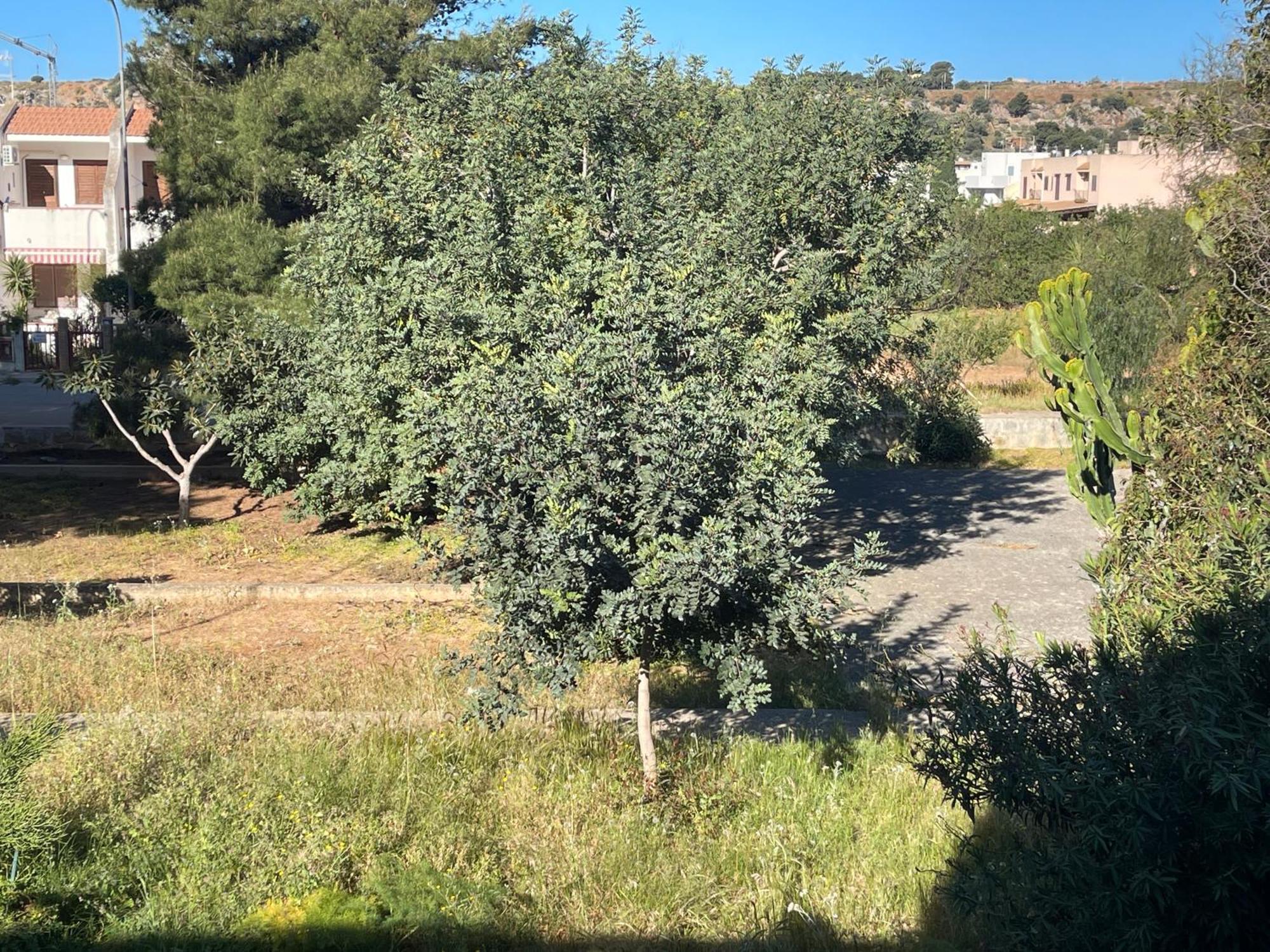 Aurora E Andrea San Vito Lo Capo Villa Eksteriør billede